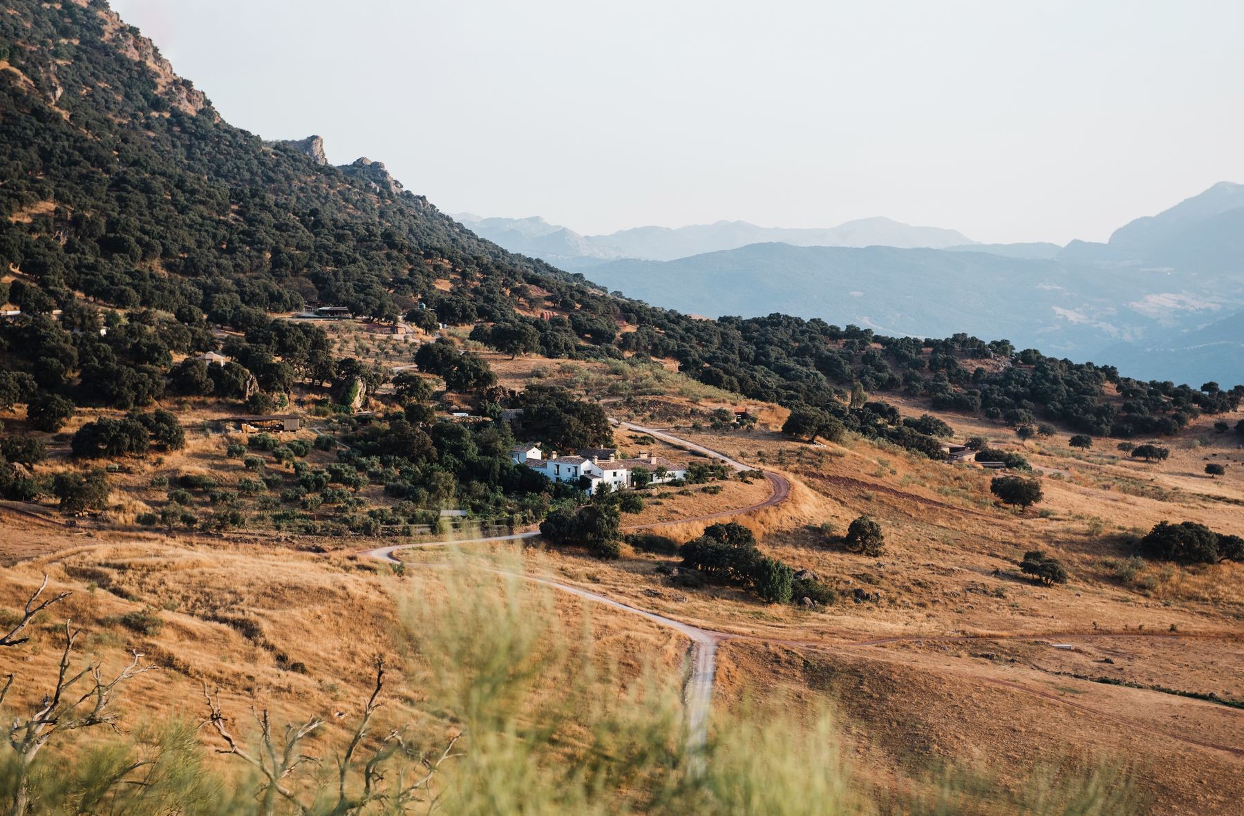 La Donaira in the hills of the Serranía de Ronda, Andalucía